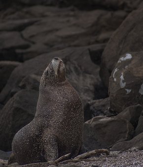 206085