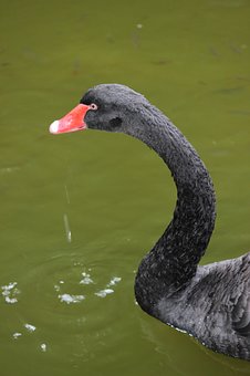 133952