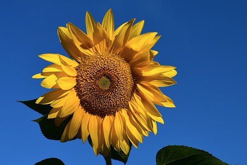 92081