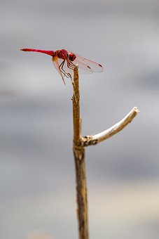 14023