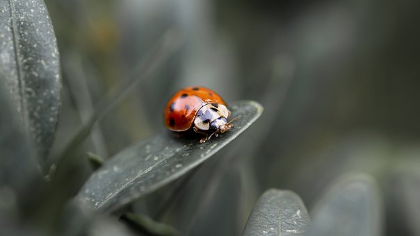 2508