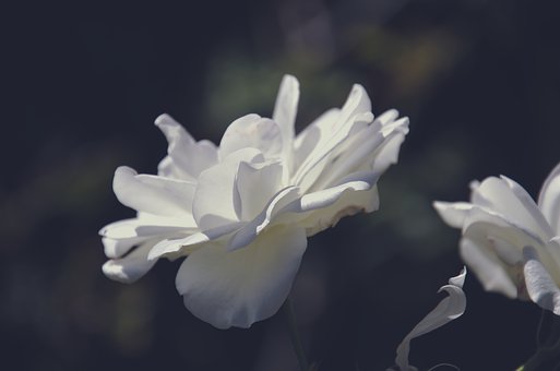 9444