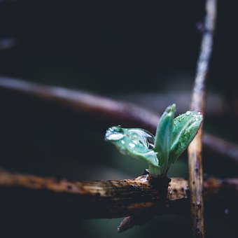 201182