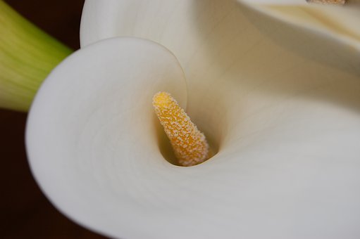 300557
