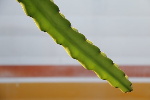 61443