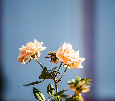 109160