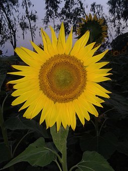 342837