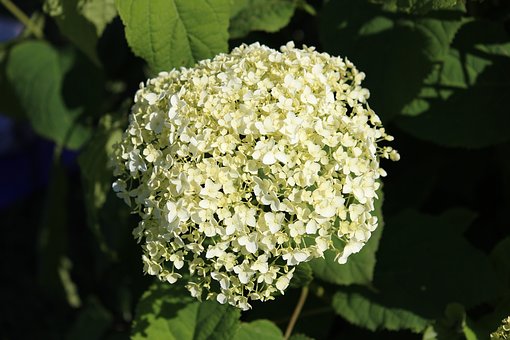272552