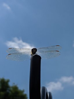 3312