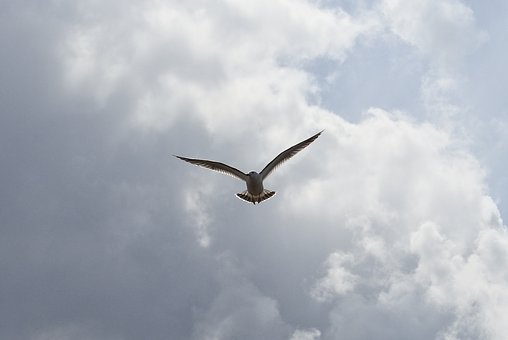 147551
