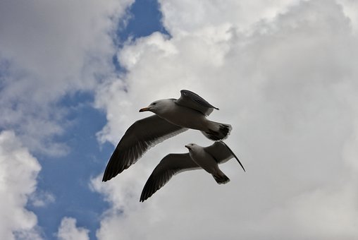 70085