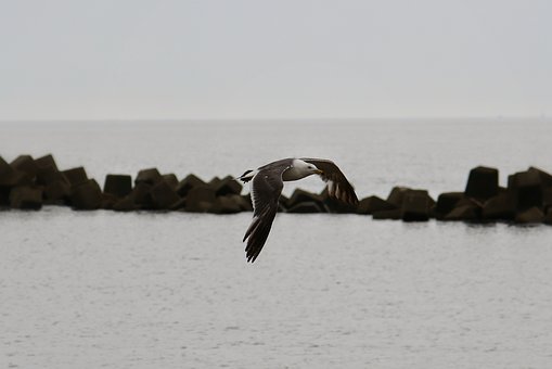 201180