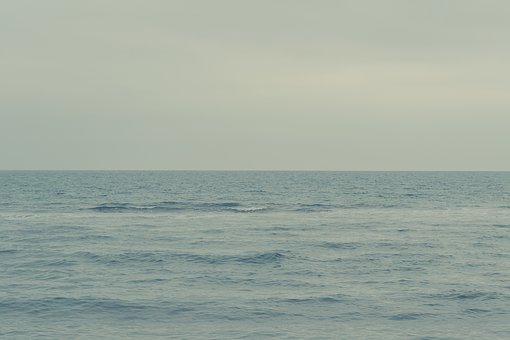 58589
