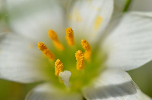 160360