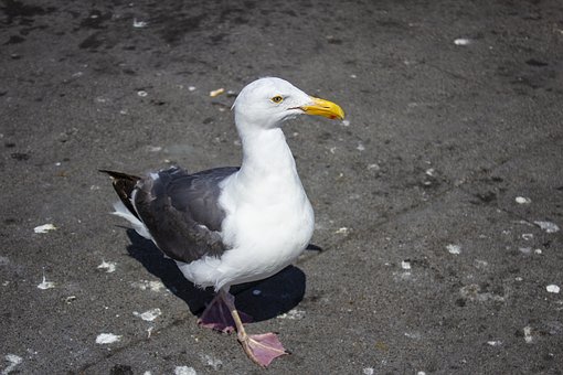255913