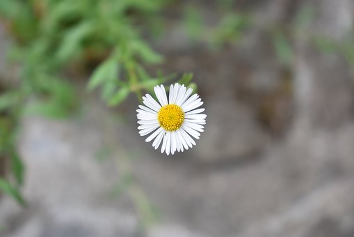 105077