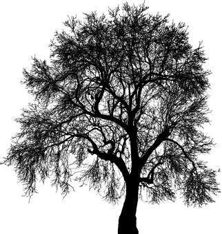 201089