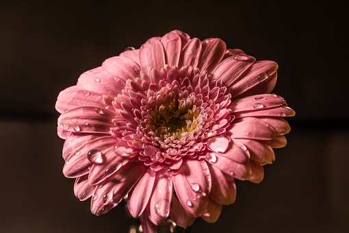 197583