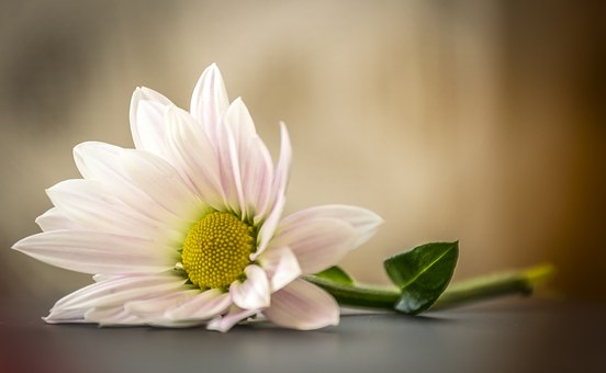 99267