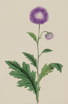 201009