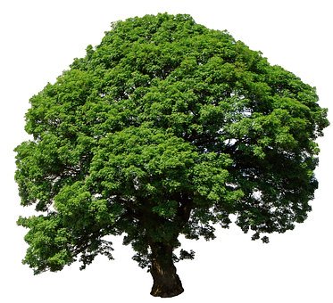 265633