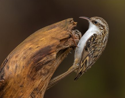 36120