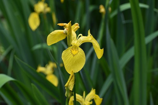 201200
