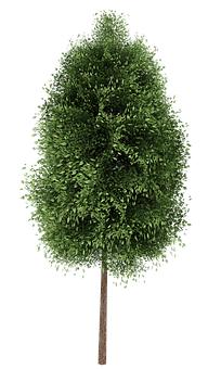 323178