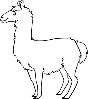7978