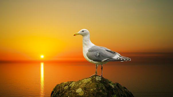 310896
