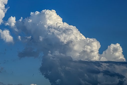 278593