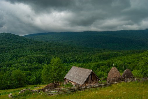 13454