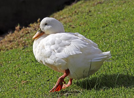 167551