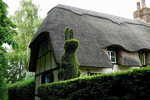 9038
