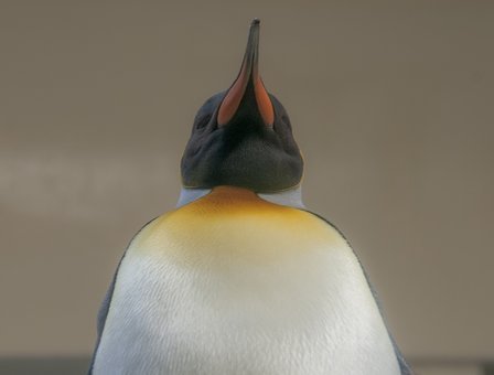 296937