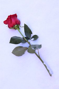 58872