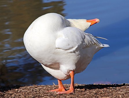 221746