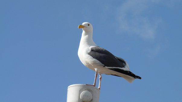 154301