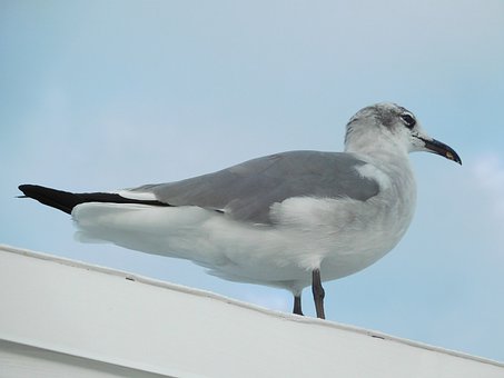 144961