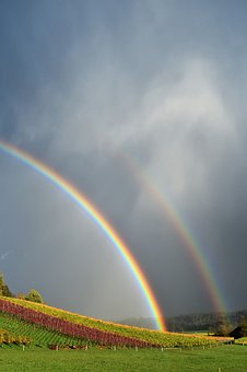 125506