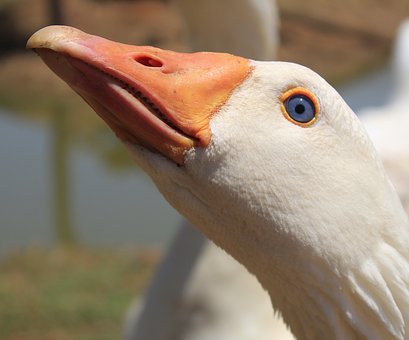 210280