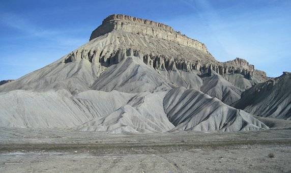 46333