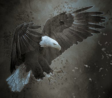 236067