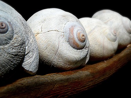 1215