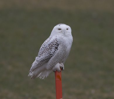 48846