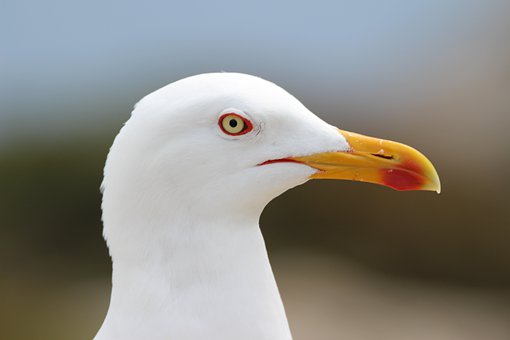 294940