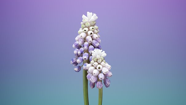 171179