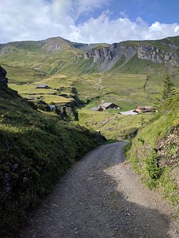 310621