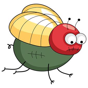 6078