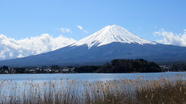 69701